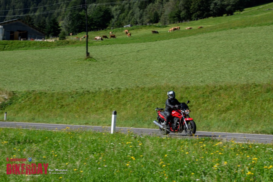 dsc dsc