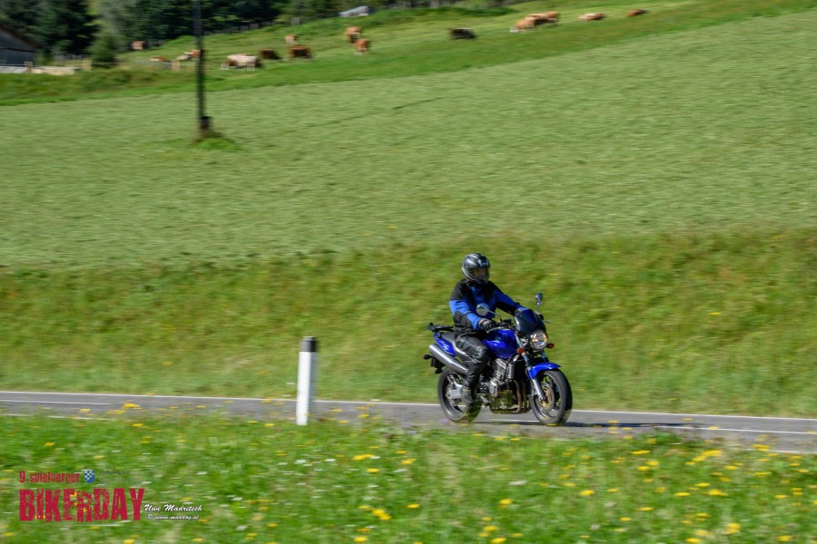 dsc dsc