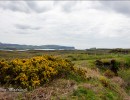  dsc2366