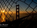  dsc5402