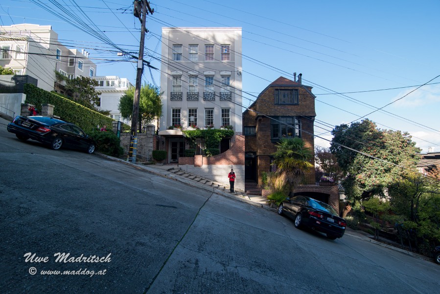 dsc 4584
