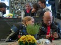 dsc verbessert rr6