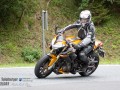 dsc verbessert rr
