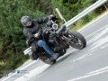 dsc verbessert rr