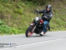 dsc verbessert rr15