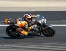  dsc8981