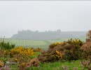  dsc2887